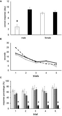 Prenatal Ozone Exposure Induces Memory Deficiencies in Newborns Rats